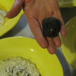 black truffle w risotto